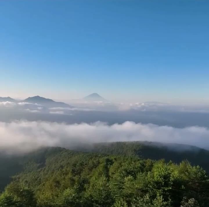 雲海と富士山の空撮映像